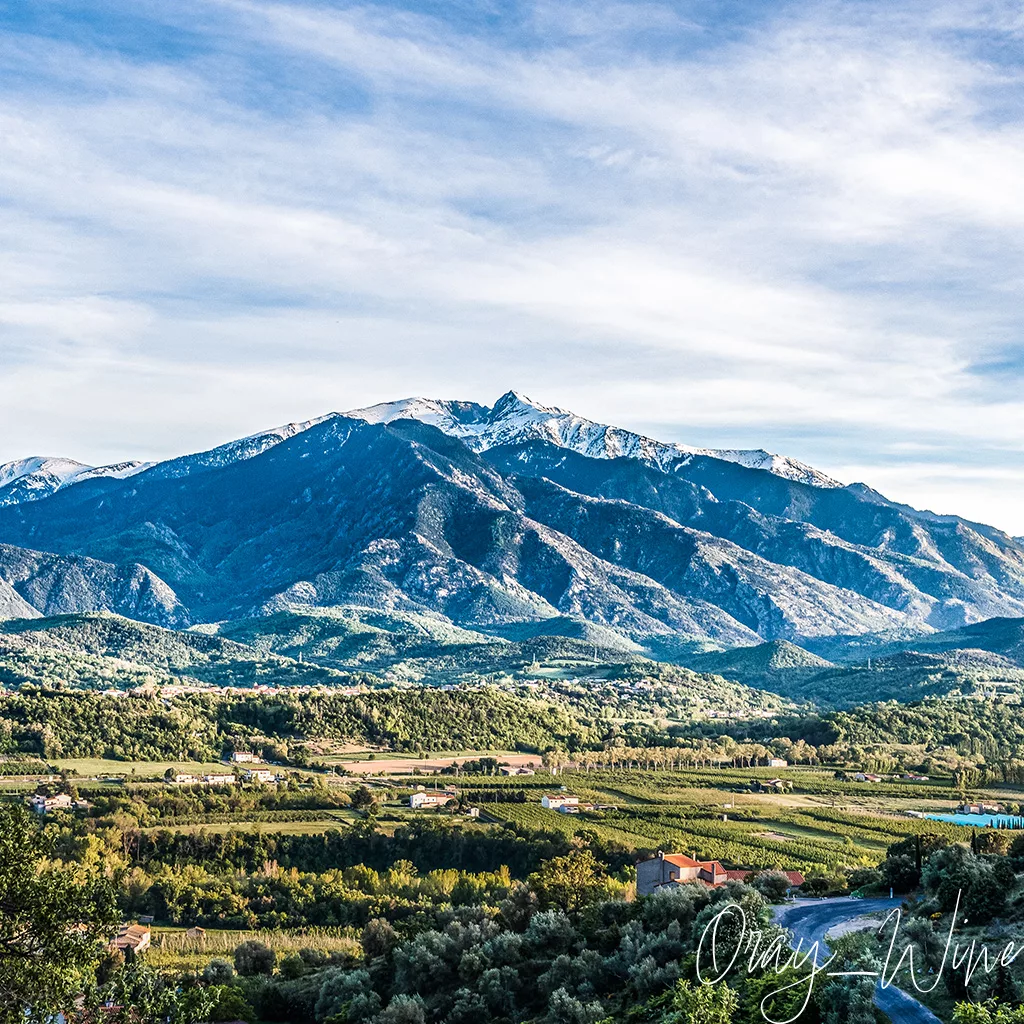 Brazilian Wine, The New Frontier – Oray